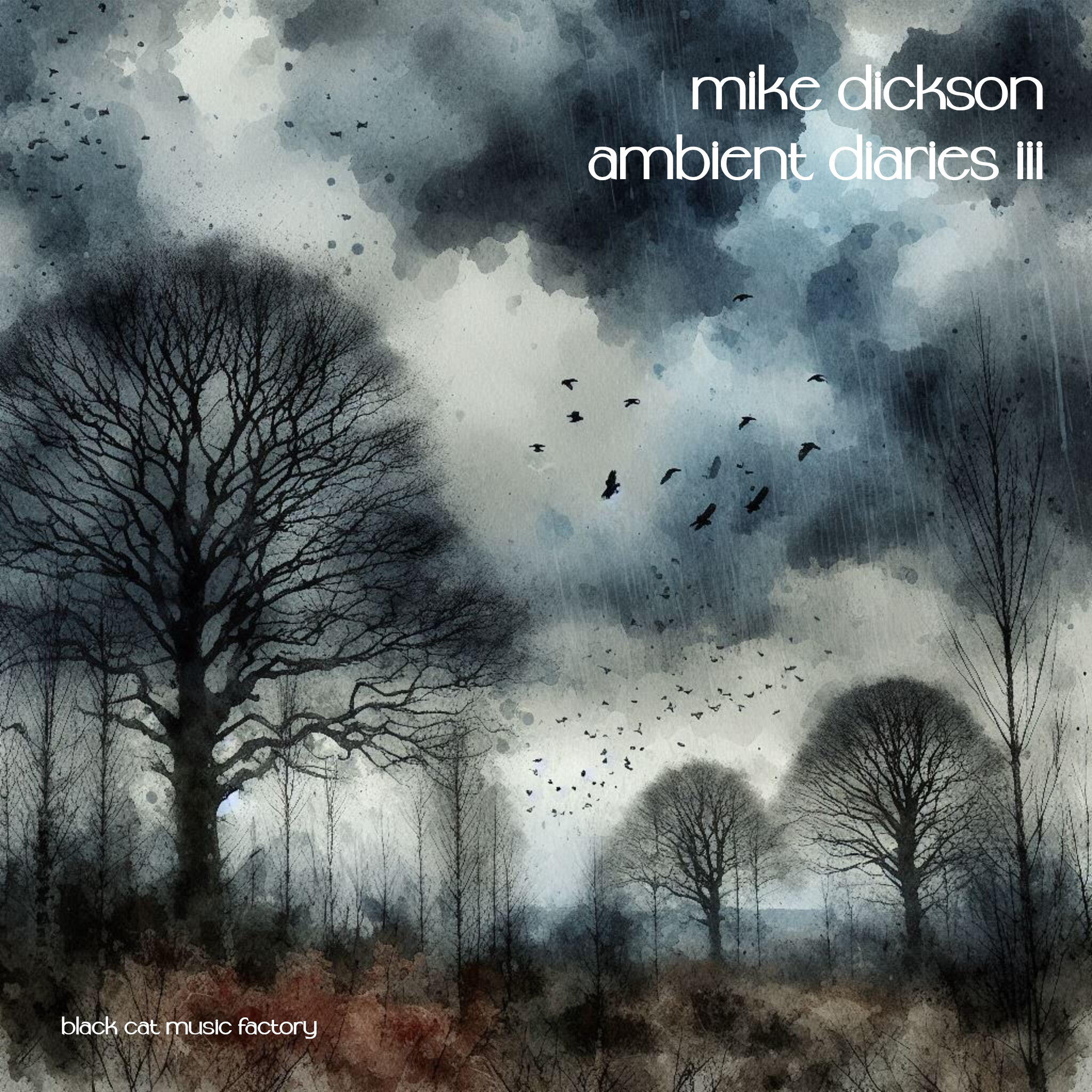 Ambient Diaries Volume 3